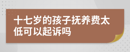 十七岁的孩子抚养费太低可以起诉吗