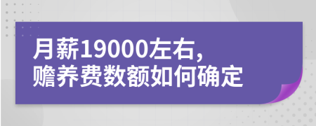 月薪19000左右,赡养费数额如何确定