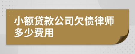 小额贷款公司欠债律师多少费用