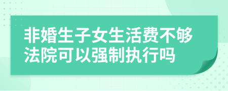 非婚生子女生活费不够法院可以强制执行吗