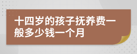 十四岁的孩子抚养费一般多少钱一个月