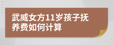 武威女方11岁孩子抚养费如何计算