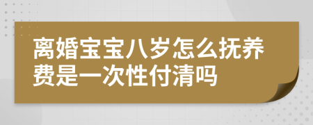 离婚宝宝八岁怎么抚养费是一次性付清吗