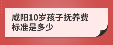 咸阳10岁孩子抚养费标准是多少