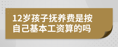12岁孩子抚养费是按自己基本工资算的吗