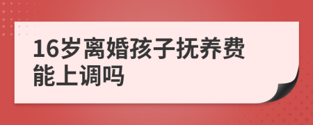 16岁离婚孩子抚养费能上调吗