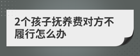 2个孩子抚养费对方不履行怎么办