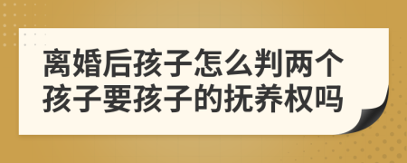 离婚后孩子怎么判两个孩子要孩子的抚养权吗