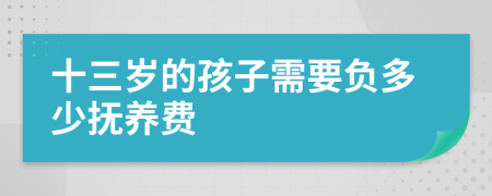 十三岁的孩子需要负多少抚养费