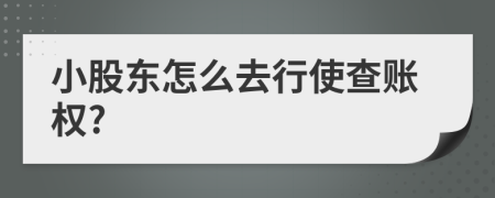 小股东怎么去行使查账权?