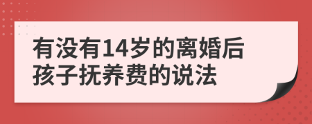 有没有14岁的离婚后孩子抚养费的说法