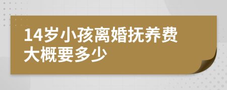 14岁小孩离婚抚养费大概要多少