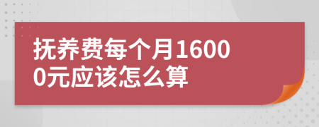 抚养费每个月16000元应该怎么算