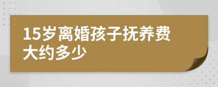 15岁离婚孩子抚养费大约多少