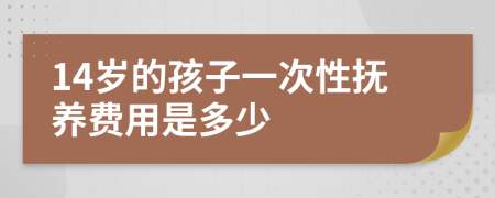 14岁的孩子一次性抚养费用是多少