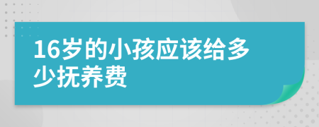 16岁的小孩应该给多少抚养费