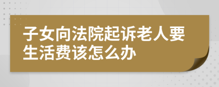 子女向法院起诉老人要生活费该怎么办