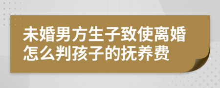 未婚男方生子致使离婚怎么判孩子的抚养费