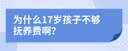 为什么17岁孩子不够抚养费啊？