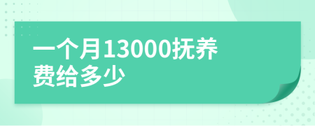 一个月13000抚养费给多少