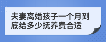 夫妻离婚孩子一个月到底给多少抚养费合适