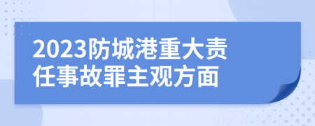 2023防城港重大责任事故罪主观方面