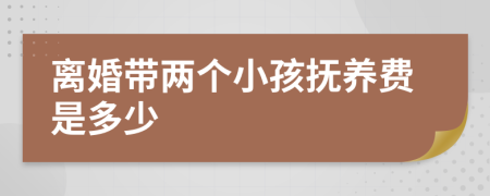 离婚带两个小孩抚养费是多少