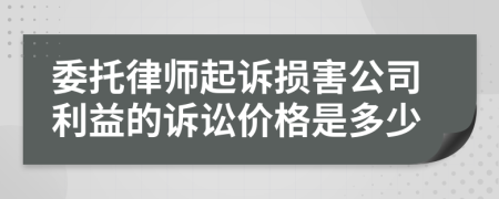 委托律师起诉损害公司利益的诉讼价格是多少