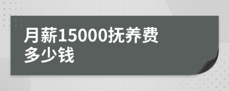 月薪15000抚养费多少钱