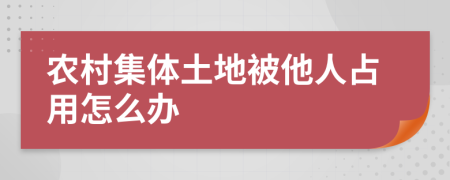 农村集体土地被他人占用怎么办