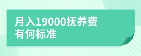 月入19000抚养费有何标准