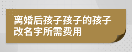 离婚后孩子孩子的孩子改名字所需费用