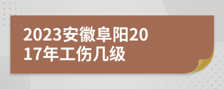 2023安徽阜阳2017年工伤几级