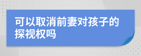 可以取消前妻对孩子的探视权吗