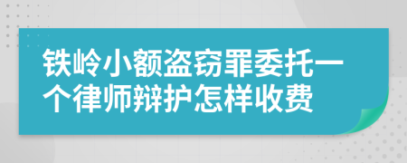 铁岭小额盗窃罪委托一个律师辩护怎样收费