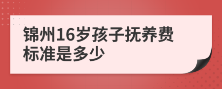 锦州16岁孩子抚养费标准是多少