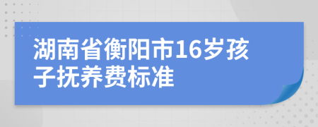 湖南省衡阳市16岁孩子抚养费标准