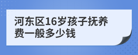 河东区16岁孩子抚养费一般多少钱