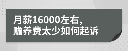 月薪16000左右,赡养费太少如何起诉