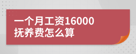 一个月工资16000抚养费怎么算