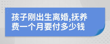 孩子刚出生离婚,抚养费一个月要付多少钱
