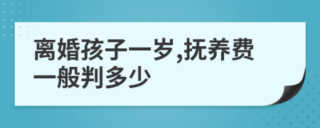 离婚孩子一岁,抚养费一般判多少