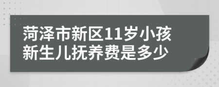 菏泽市新区11岁小孩新生儿抚养费是多少