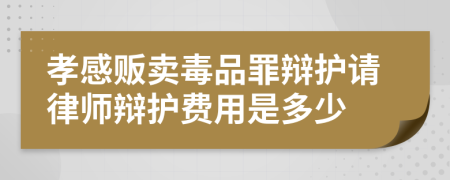 孝感贩卖毒品罪辩护请律师辩护费用是多少