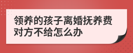 领养的孩子离婚抚养费对方不给怎么办