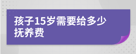 孩子15岁需要给多少抚养费