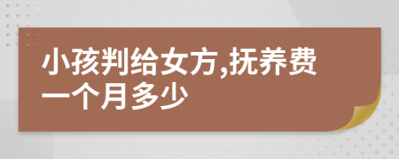 小孩判给女方,抚养费一个月多少