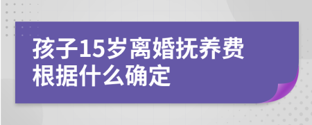 孩子15岁离婚抚养费根据什么确定