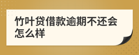 竹叶贷借款逾期不还会怎么样