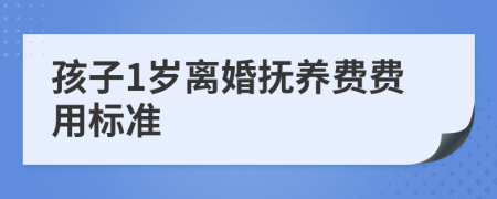 孩子1岁离婚抚养费费用标准